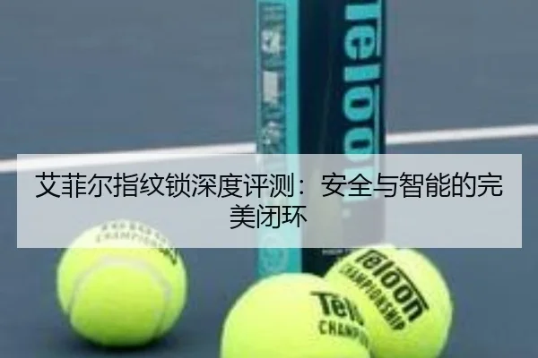 艾菲尔指纹锁深度评测：安全与智能的完美闭环 - leyu