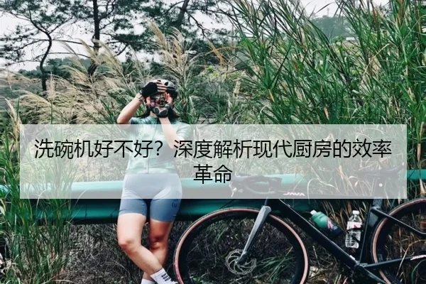 洗碗机好不好？深度解析现代厨房的效率革命（leyu）